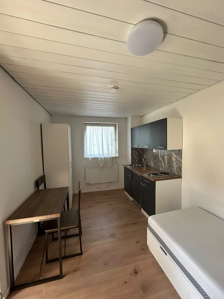 1 Zimmer Wohnung mit 1 m² in Freiburg im Breisgau – Bild 1