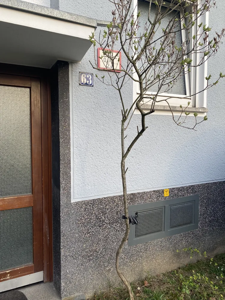 1 Zimmer Wohnung mit 18 m² in Köln – Bild 1