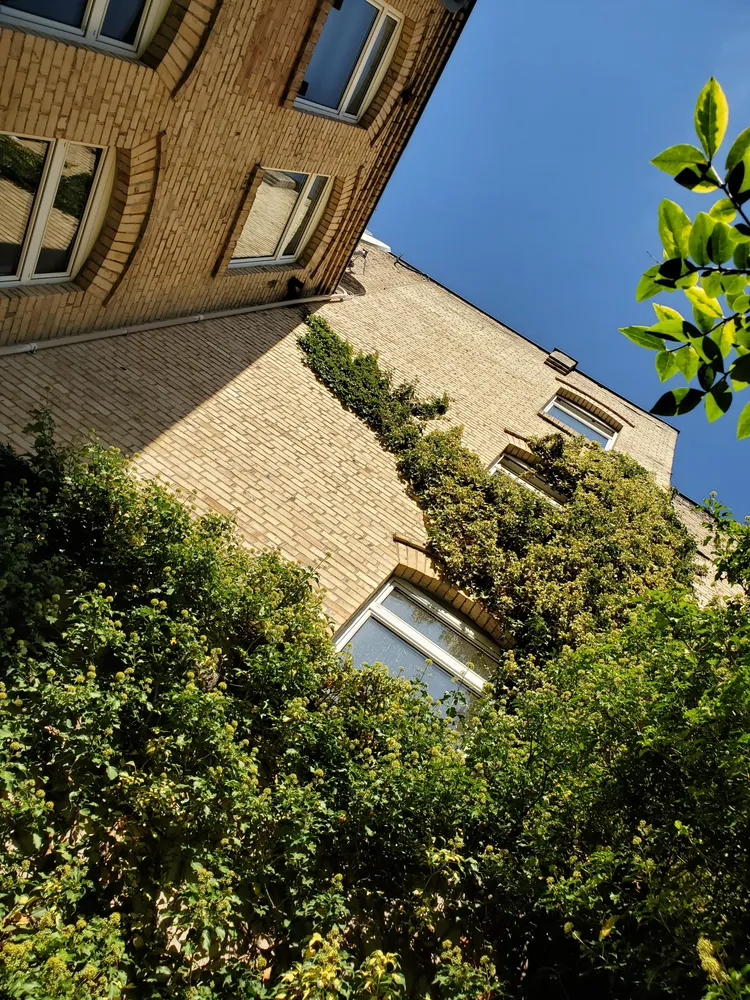 3 Zimmer Wohnung mit 59 m² in Halle (Saale) – Bild 4