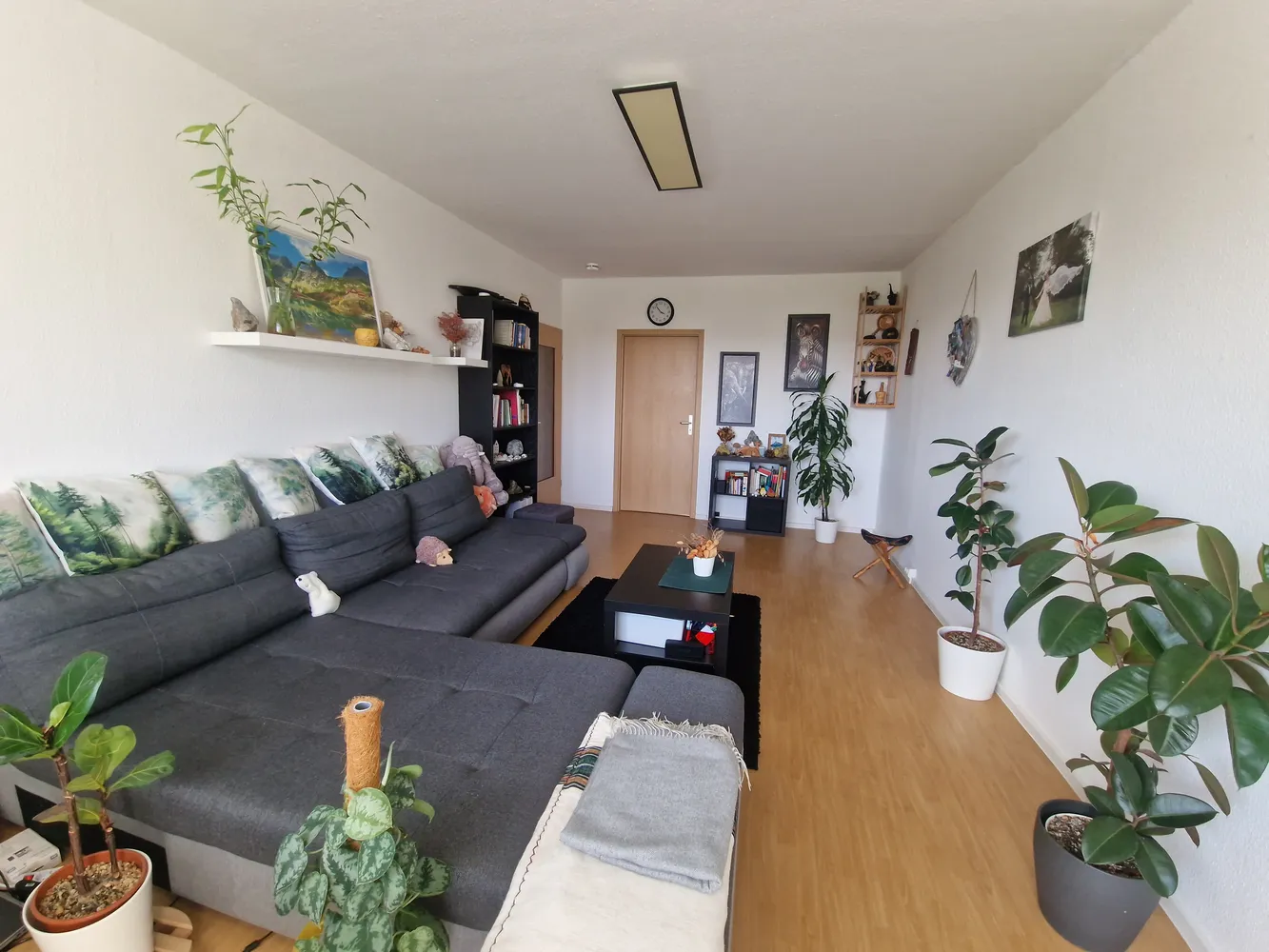 2 room apartment with 67 m² in Magdeburg – Photo 1