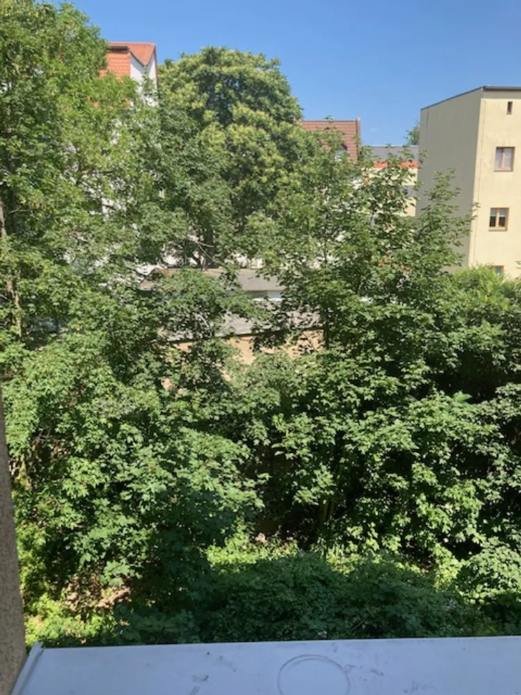 2 room apartment with 53 m² in Magdeburg – Photo 8
