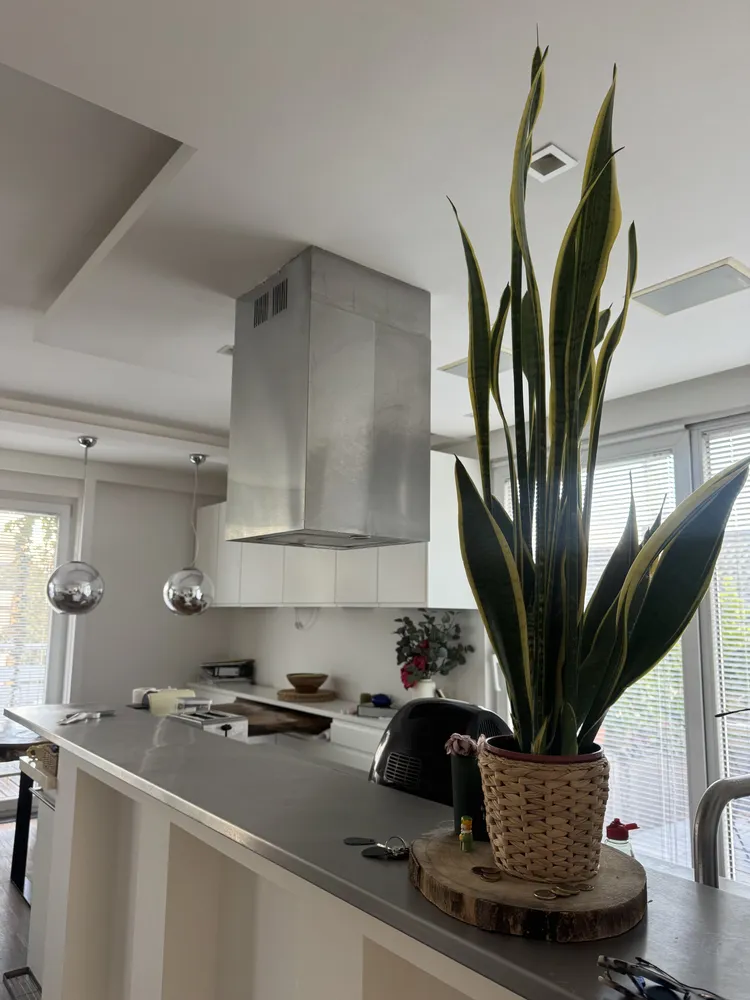 2 room apartment with 61 m² in Düsseldorf – Photo 9