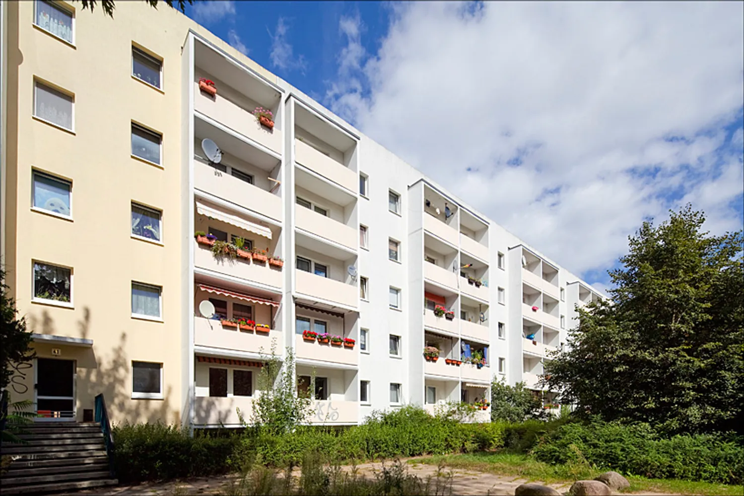 4 Zimmer Wohnung mit 67 m² in Potsdam – Bild 3