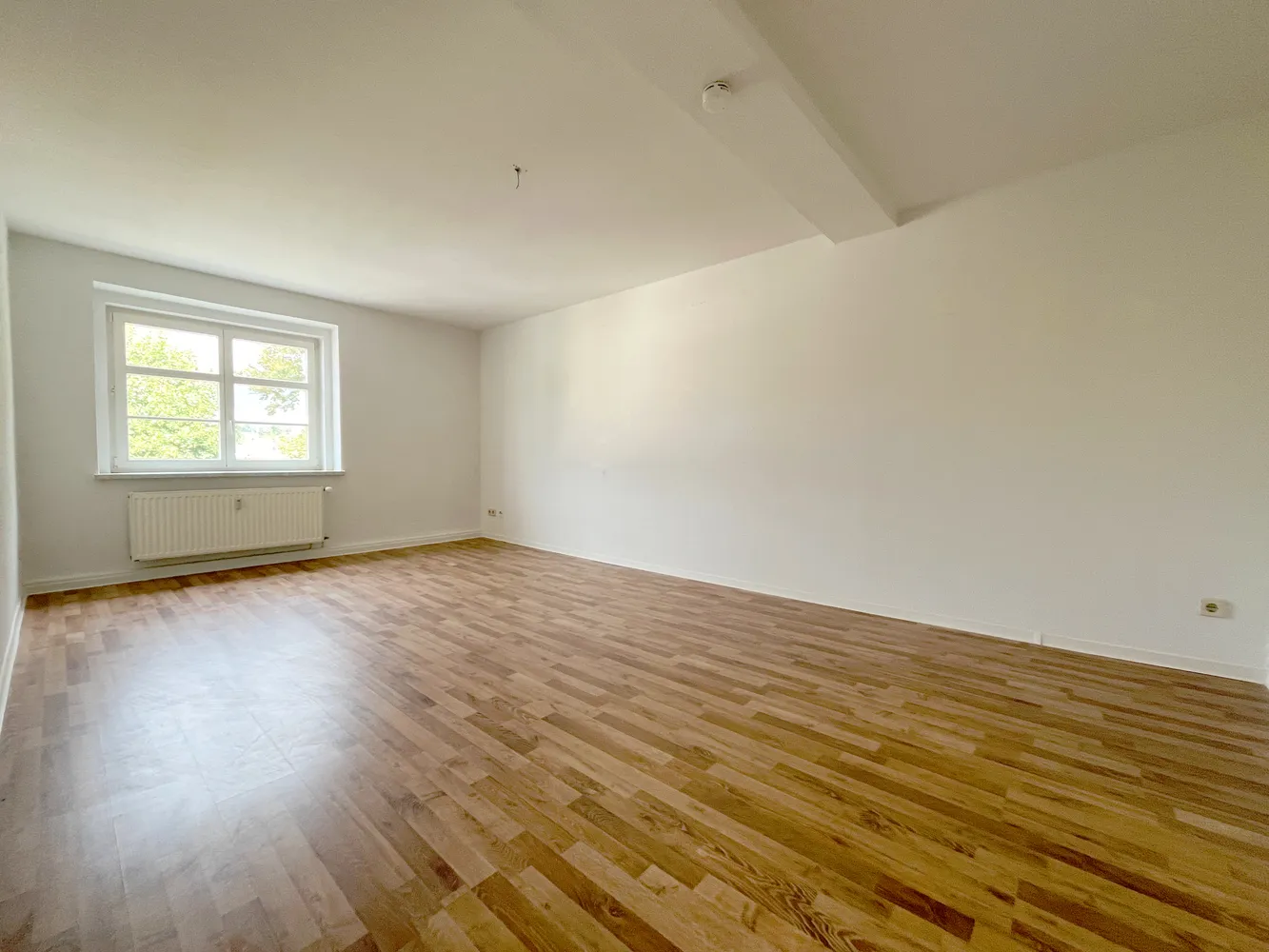 2 room apartment with 60 m² in Chemnitz – Photo 3