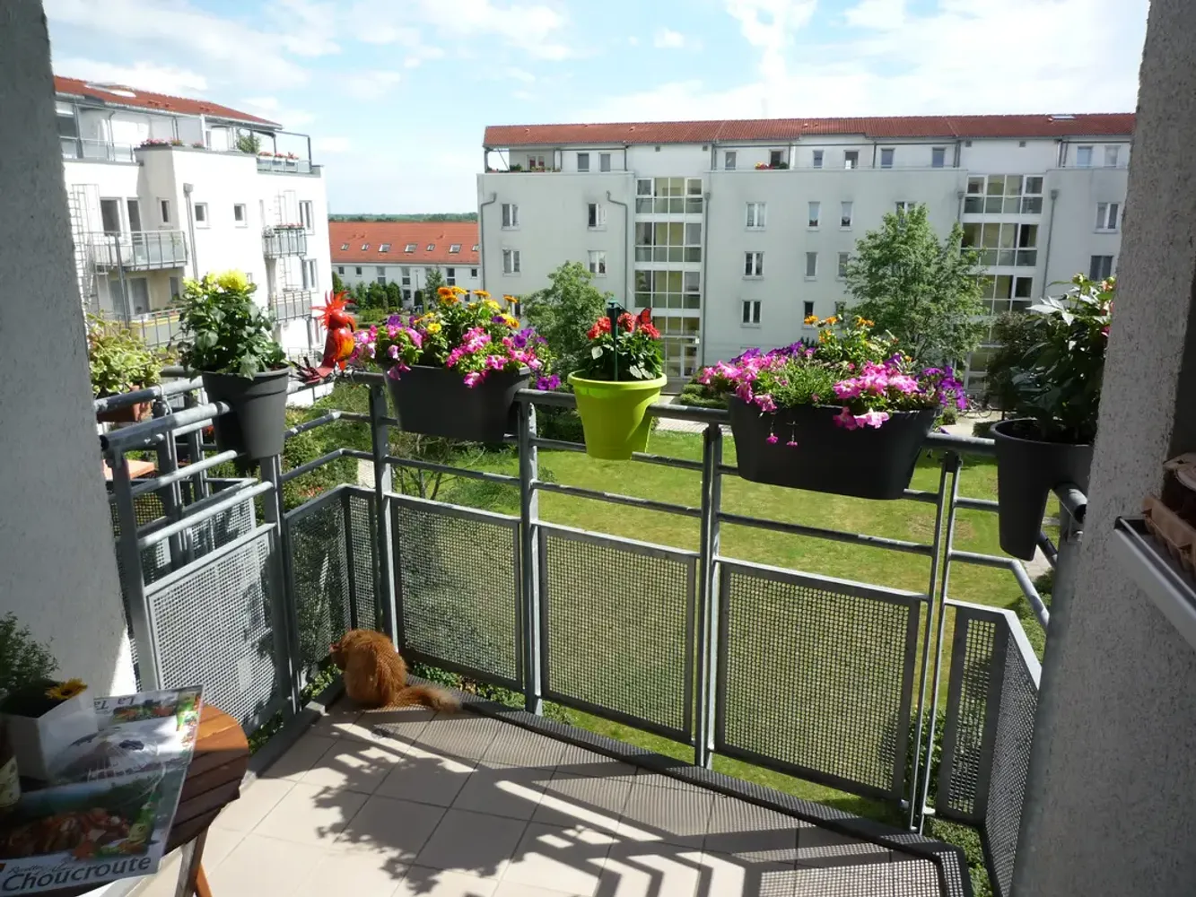 3 Zimmer Wohnung mit 78 m² in Halle (Saale) – Bild 1