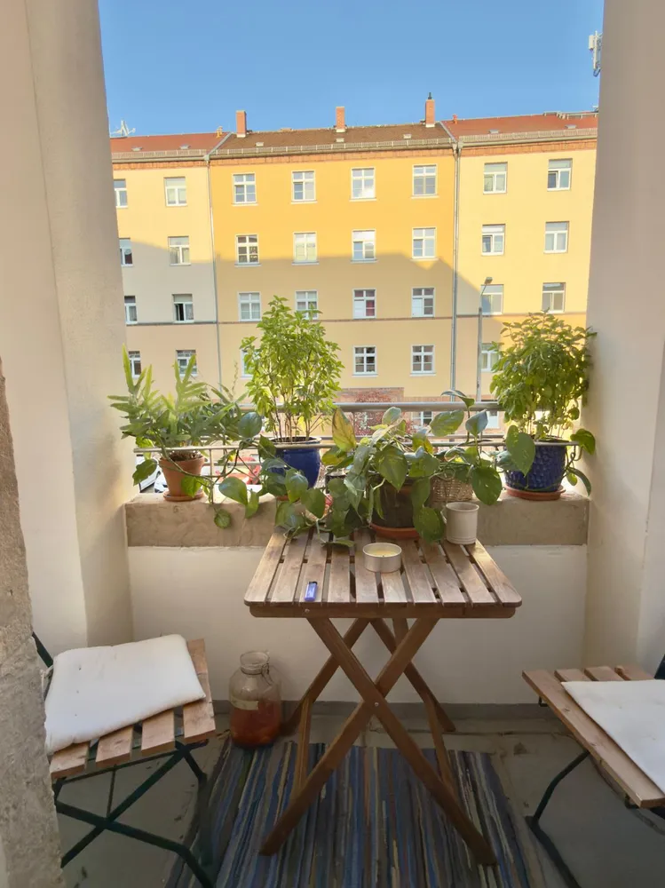 2 room apartment with 60 m² in Dresden – Photo 7