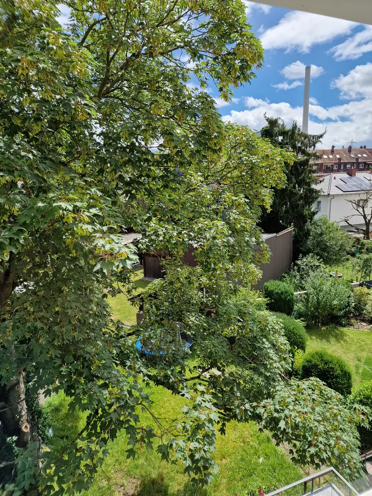2 Zimmer Wohnung mit 60 m² in Mannheim – Bild 3