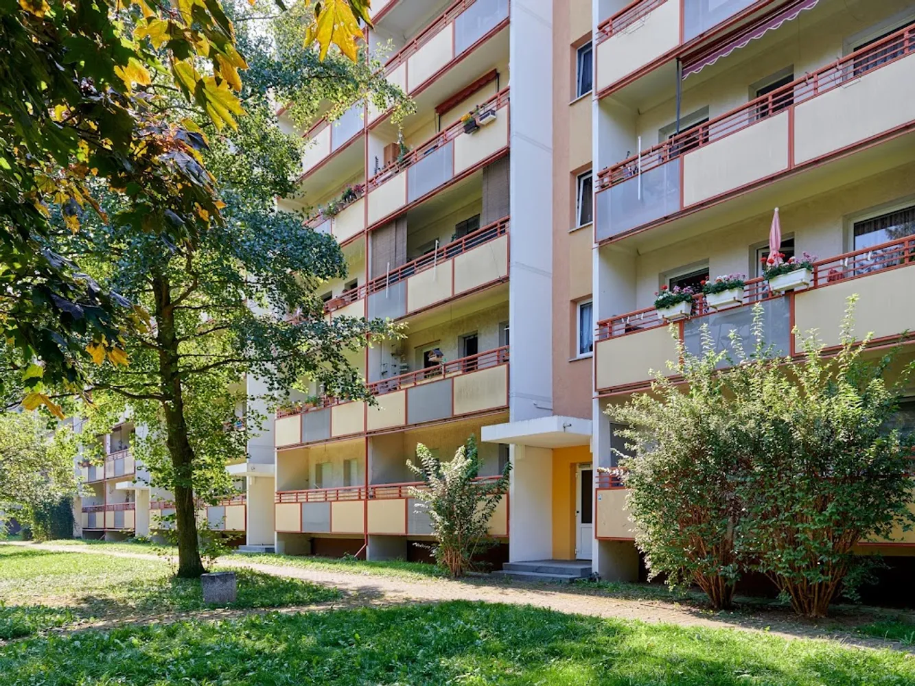 3 room apartment with 64 m² in Dresden – Photo 3