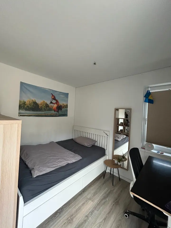 Studio mit 25 m² in Potsdam – Bild 7