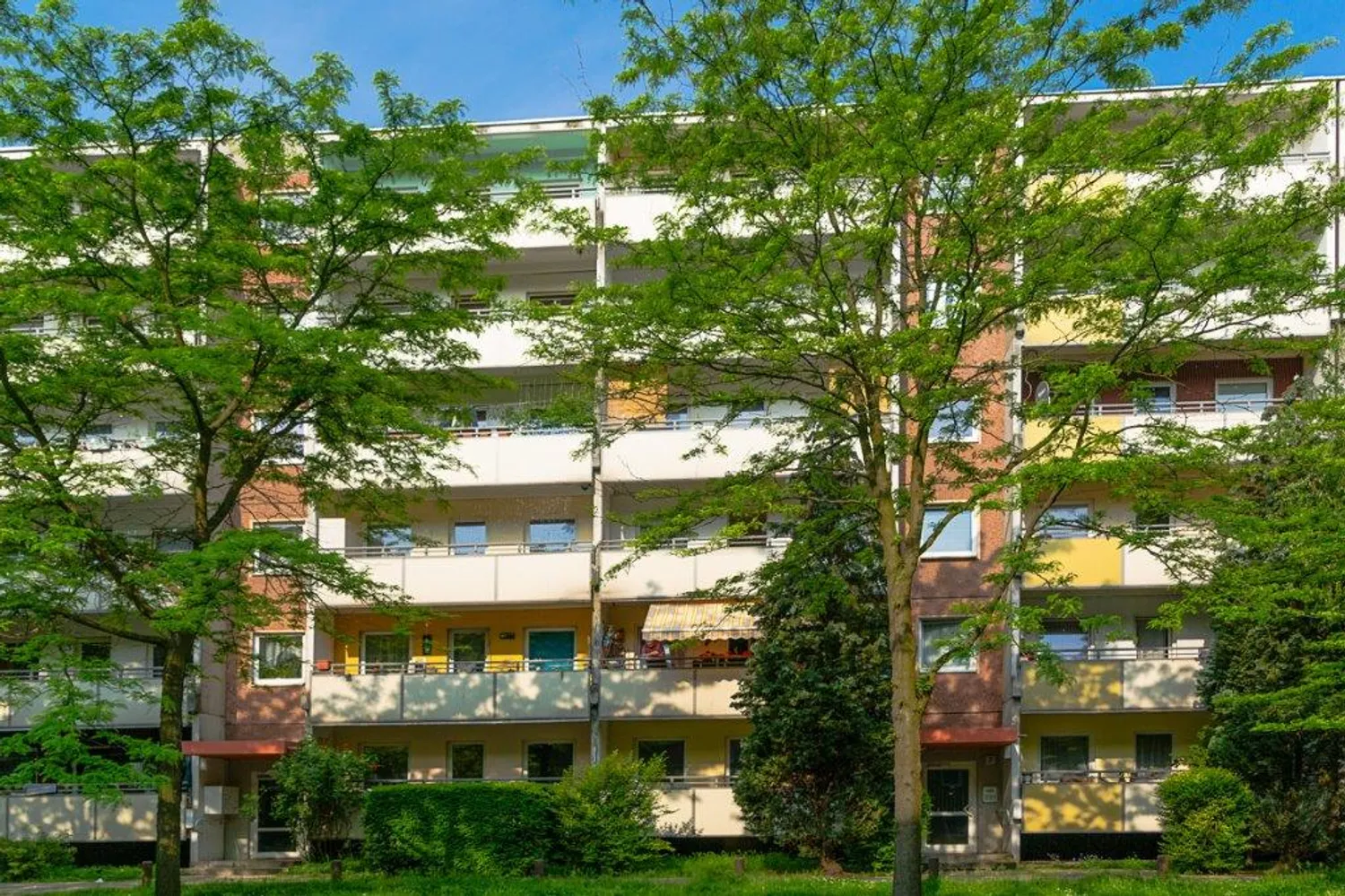 3 Zimmer Wohnung mit 64 m² in Dresden – Bild 1