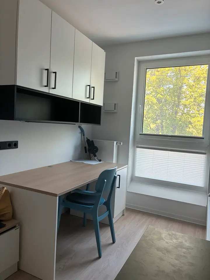 2 Zimmer Wohnung mit 20 m² in Wiesbaden – Bild 3
