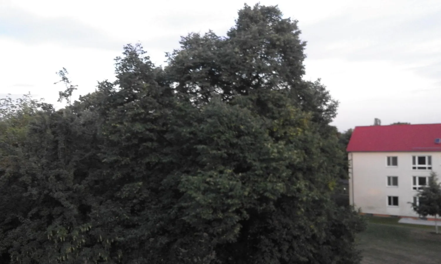 3 room apartment with 101 m² in Wiesbaden – Photo 9