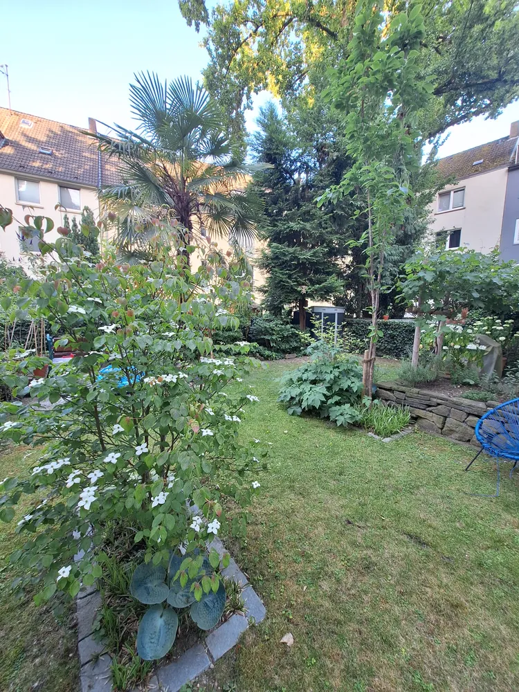 3 Zimmer Wohnung mit 79 m² in Essen – Bild 4
