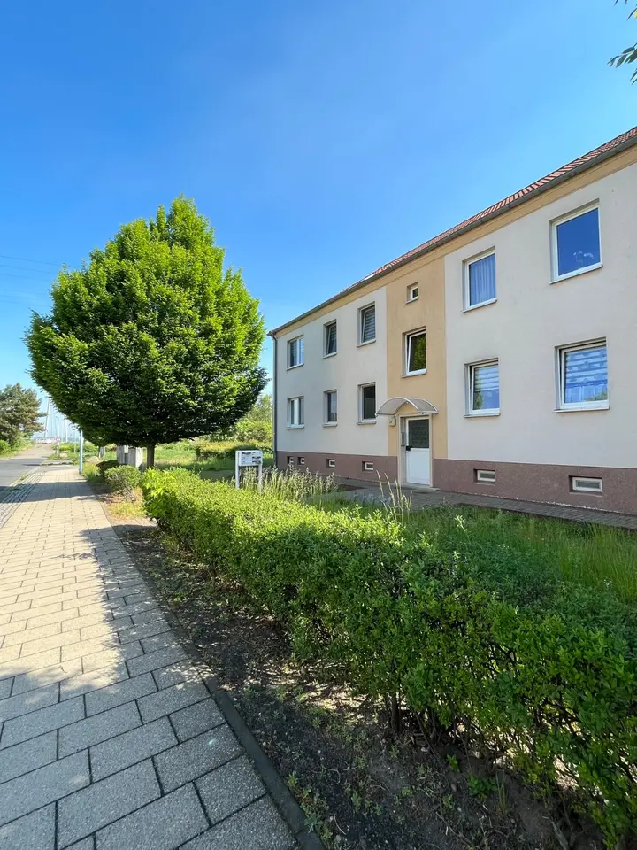 4 Zimmer Haus mit 118 m² in Lutherstadt Wittenberg – Bild 2