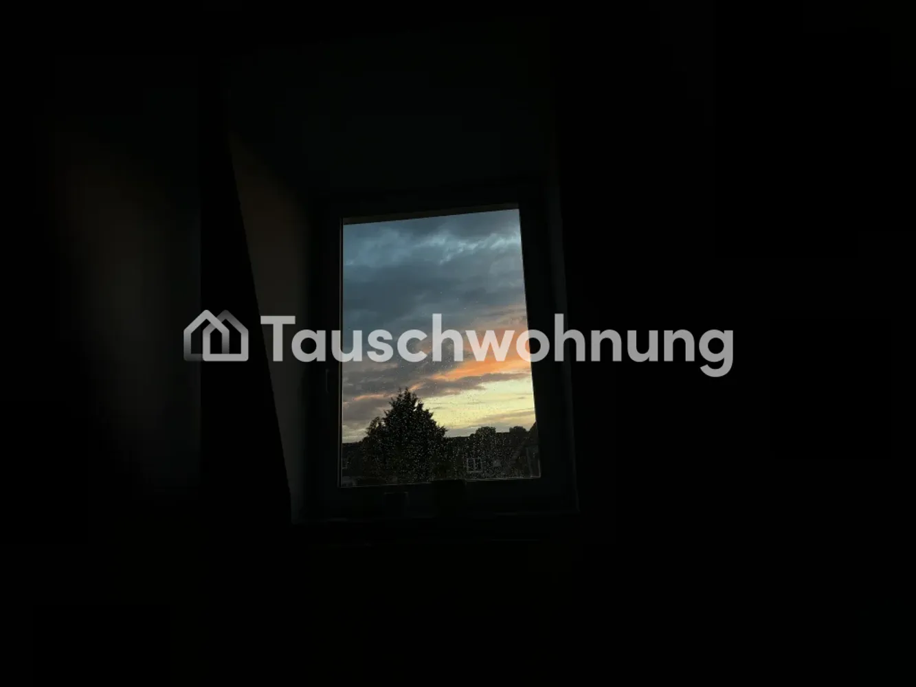2 room apartment with 50 m² in Dresden – Photo 2