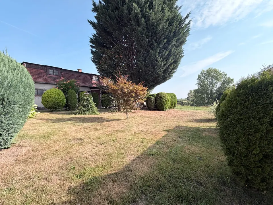 5 Zimmer Haus mit 136 m² in Werdau – Bild 3