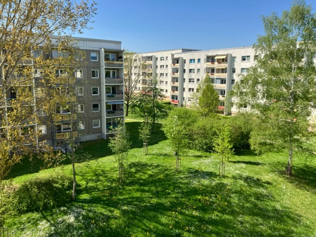 3 Zimmer Wohnung mit 69 m² in Gera – Bild 2