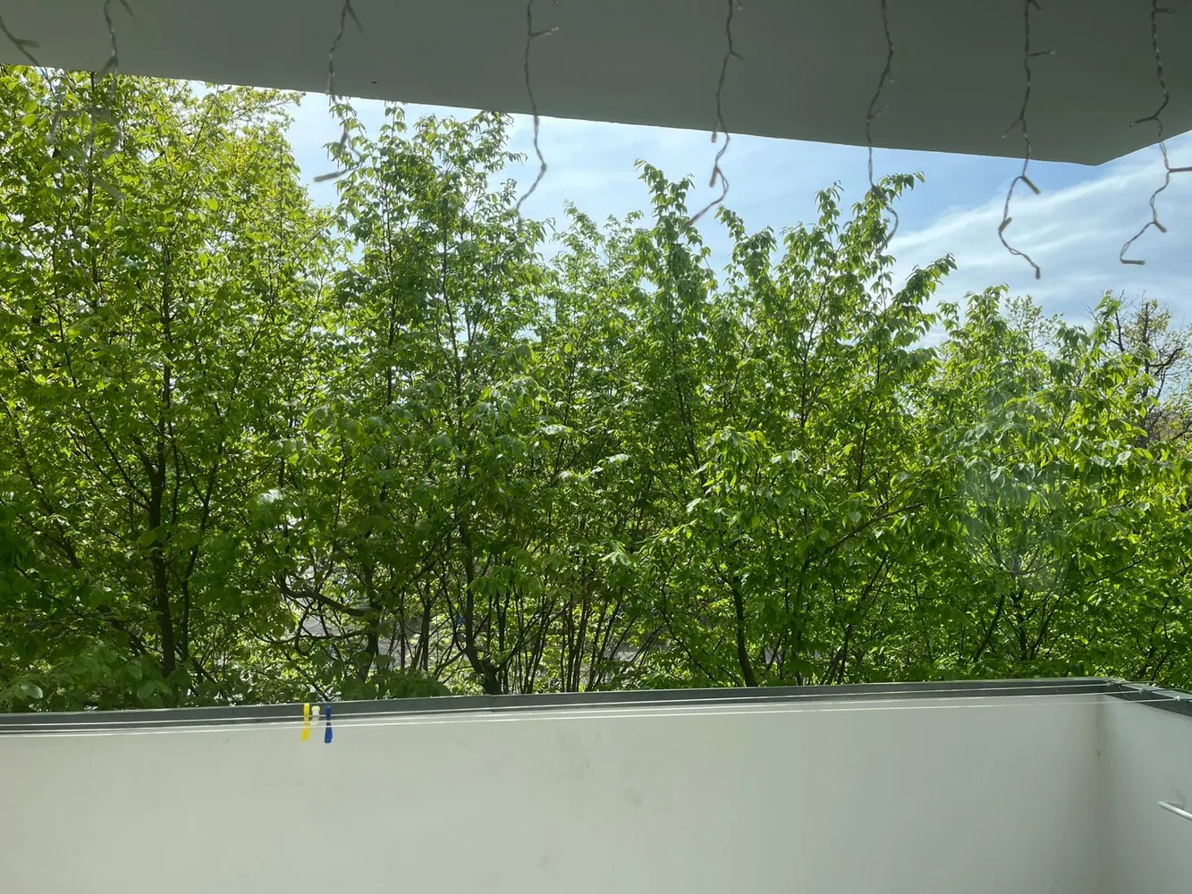 2 Zimmer Wohnung mit 66 m² in Hannover – Bild 7
