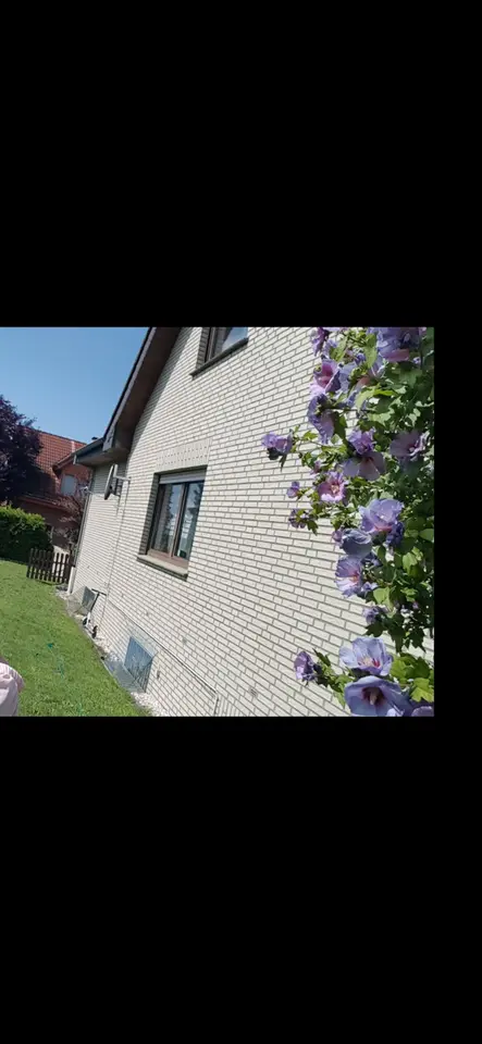 3 Zimmer Haus mit 94 m² in Georgsmarienhütte – Bild 4