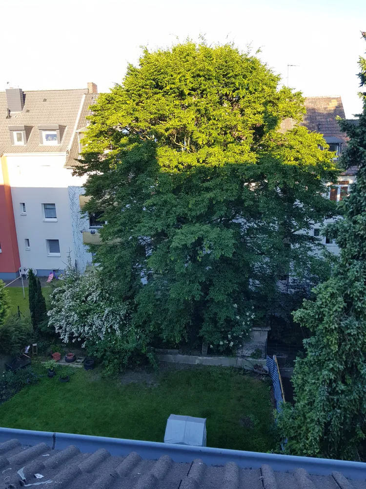 2 Zimmer Wohnung mit 62 m² in Essen – Bild 2