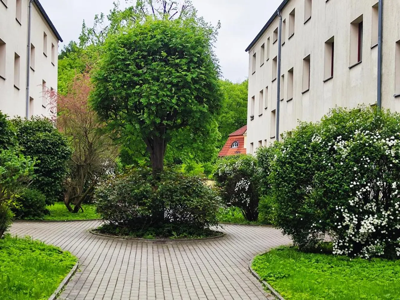 3 Zimmer Wohnung mit 58 m² in Chemnitz – Bild 5