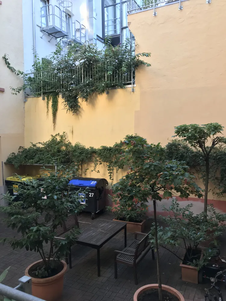 2 Zimmer Wohnung mit 42 m² in Wiesbaden – Bild 11