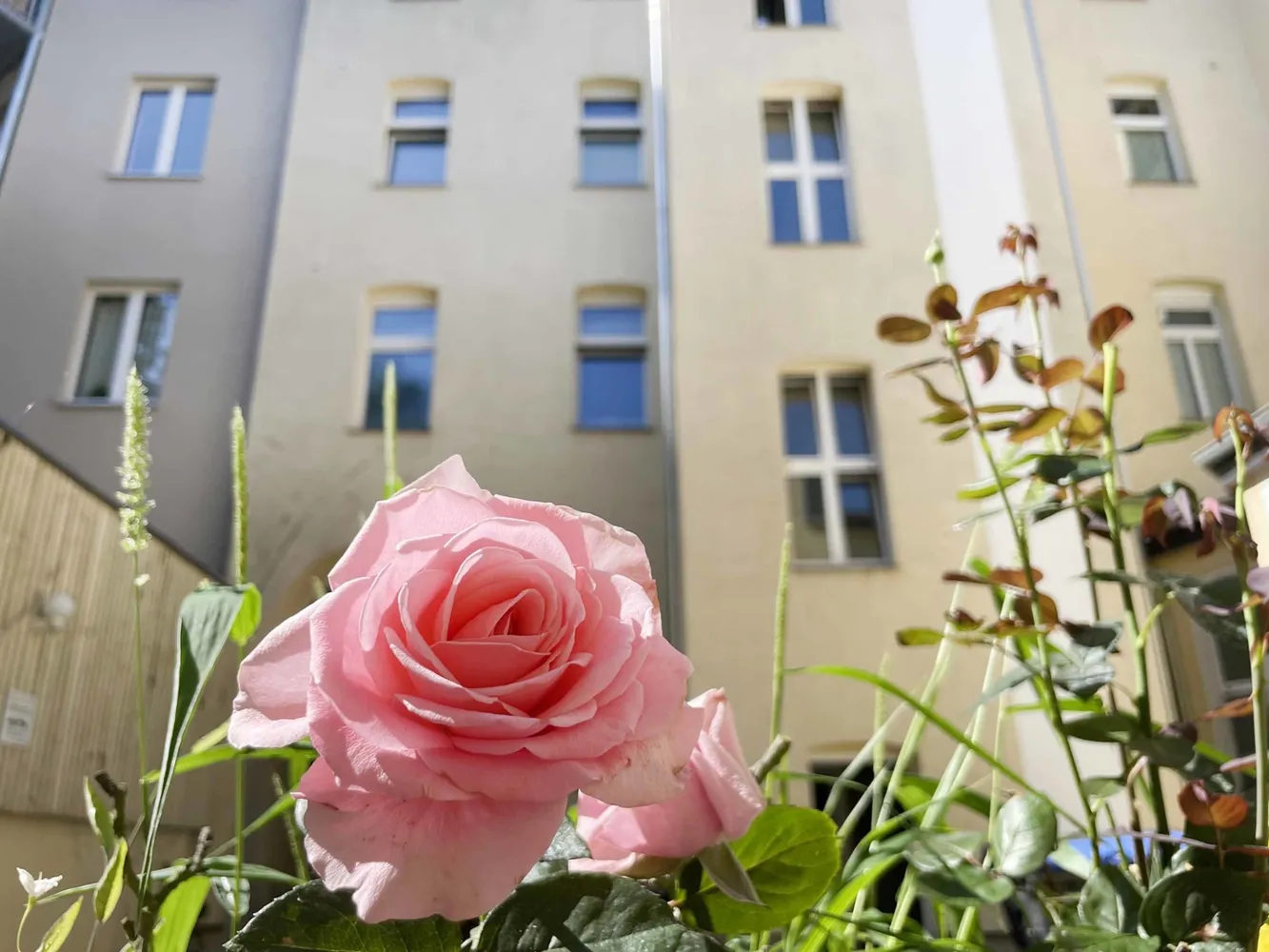 5 Zimmer Wohnung mit 108 m² in Halle (Saale) – Bild 12