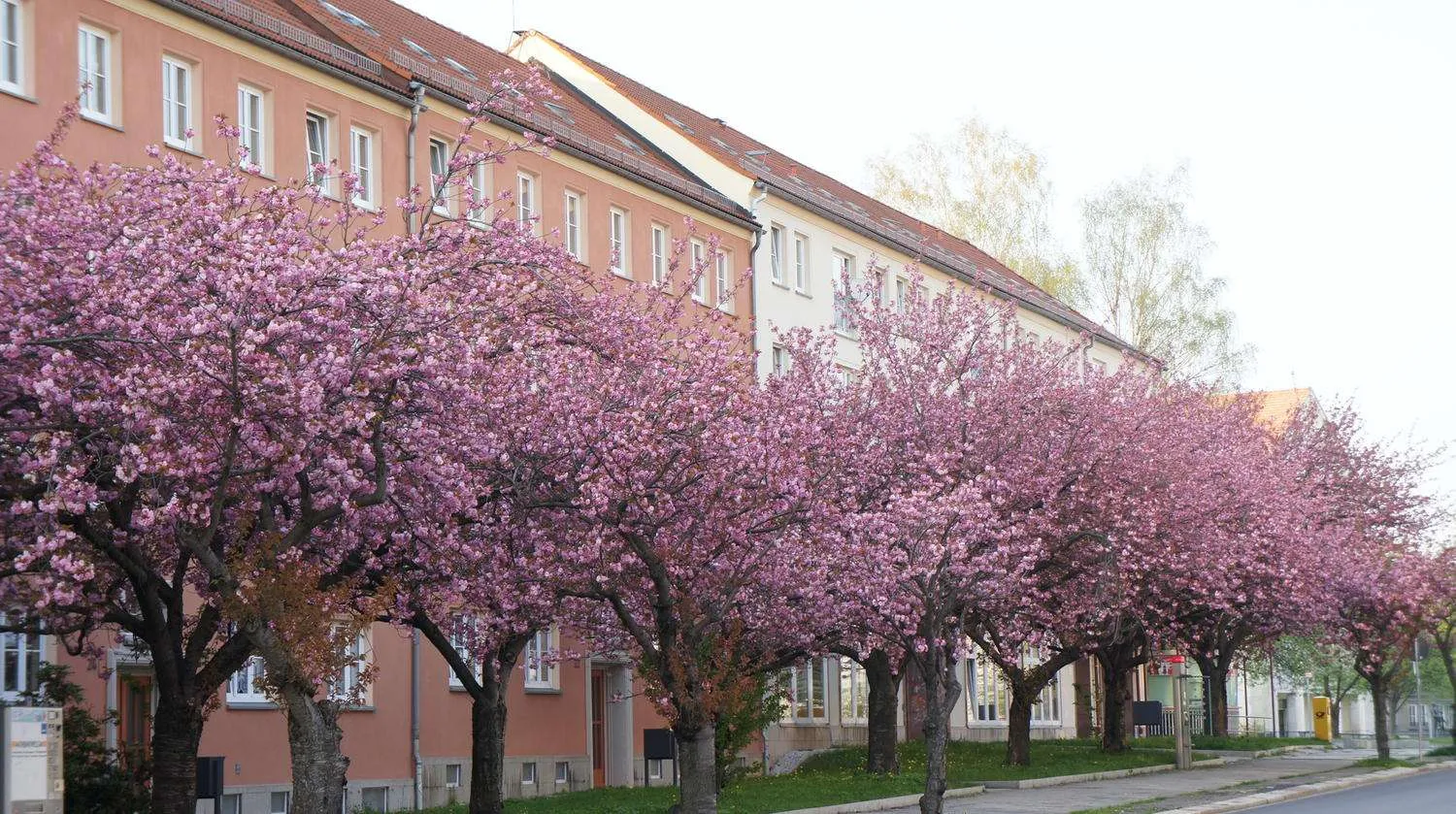 3 Zimmer Wohnung mit 63 m² in Chemnitz – Bild 3
