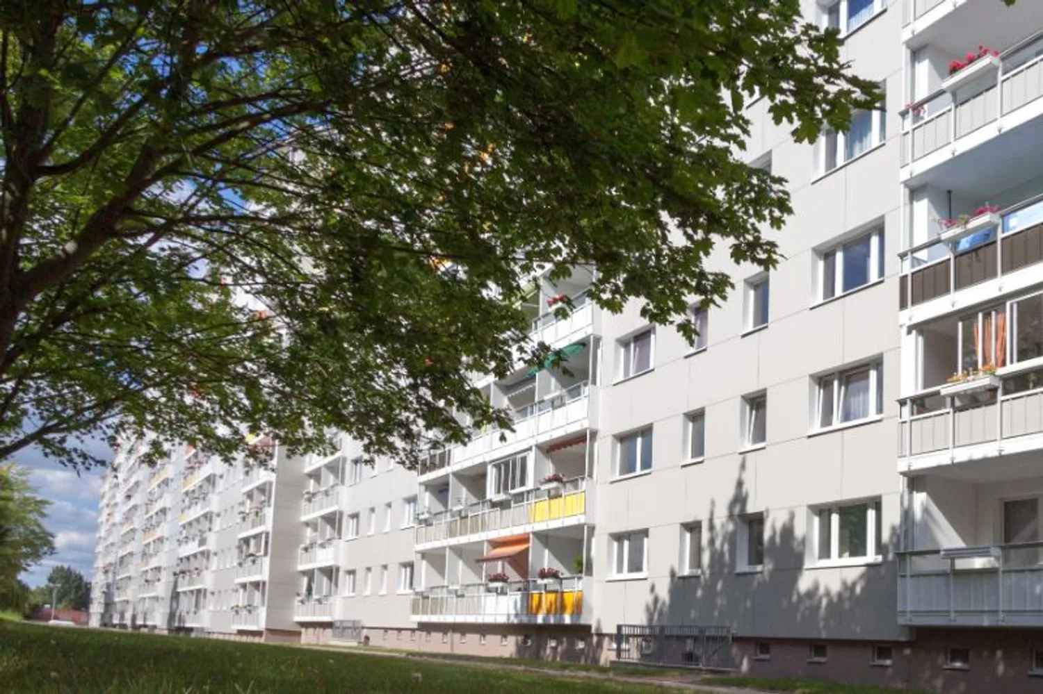 1 Zimmer Wohnung mit 32 m² in Magdeburg – Bild 5