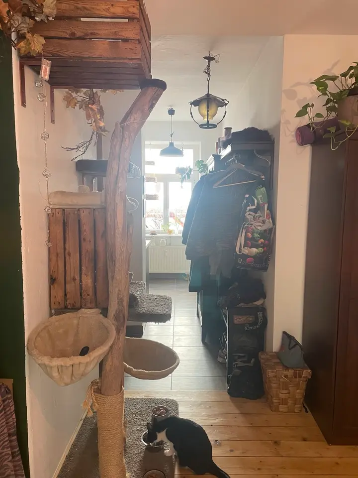 2 Zimmer Wohnung mit 33 m² in Dresden – Bild 8