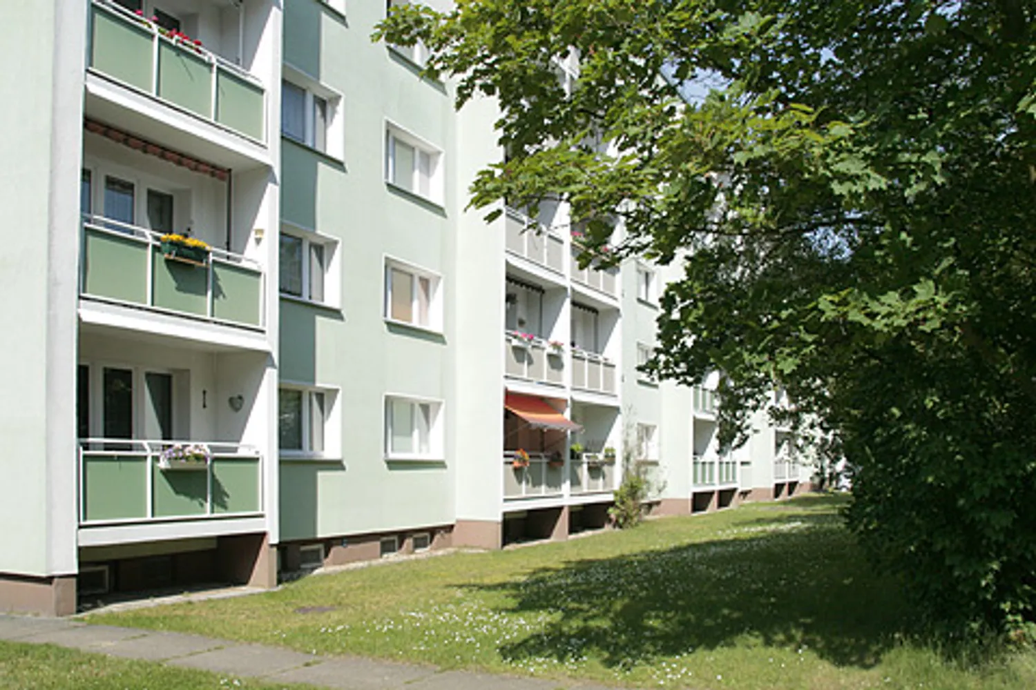 3 Zimmer Wohnung mit 61 m² in Dessau-Roßlau – Bild 2