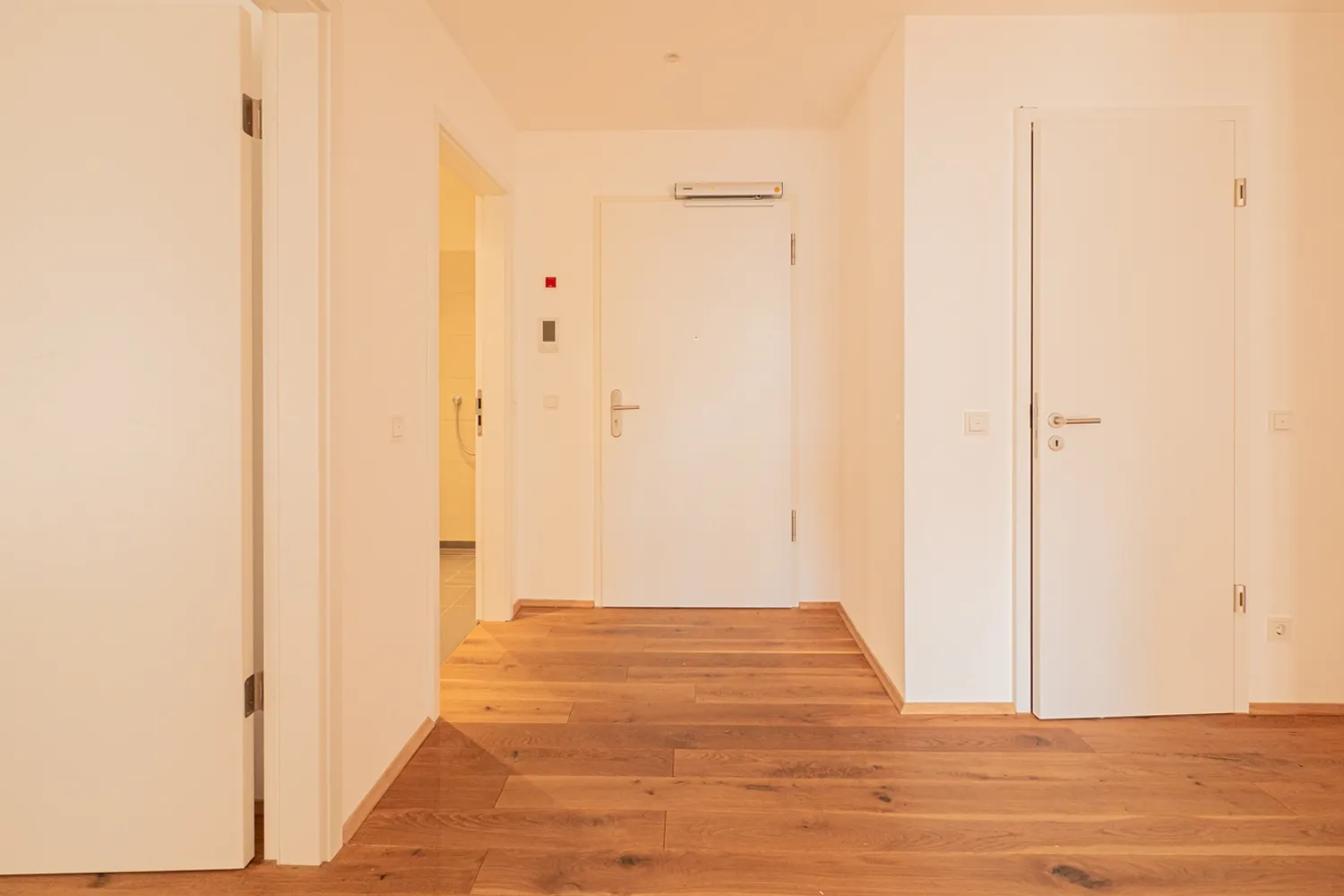 3 room apartment with 78 m² in Dresden – Photo 2