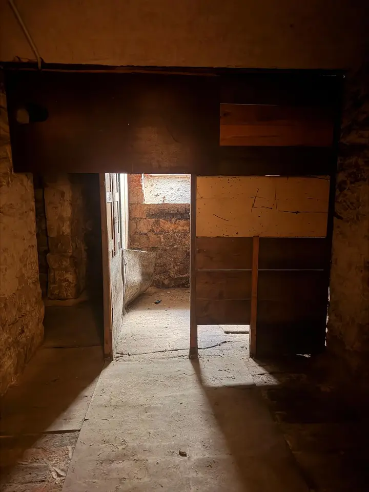 1 Zimmer Wohnung mit 55 m² in Dresden – Bild 10