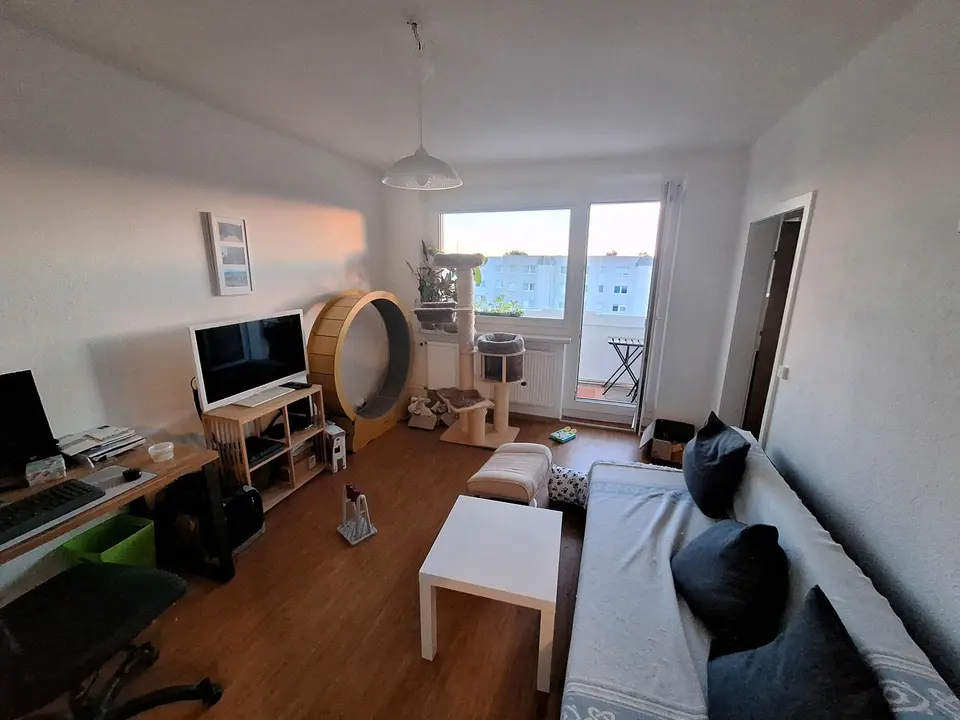 3 Zimmer Wohnung mit 50 m² in Greifswald – Bild 9