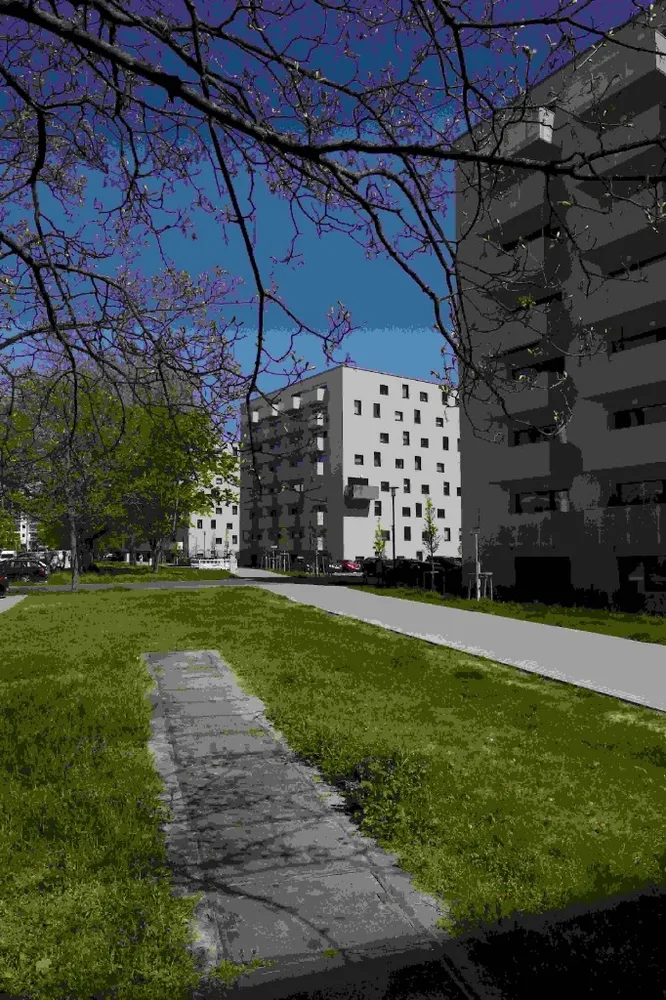 3 room apartment with 71 m² in Berlin – Photo 6