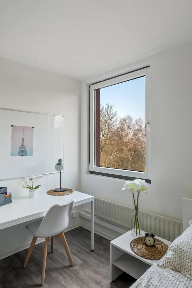 1 Zimmer Wohnung mit 13 m² in Bochum – Bild 2