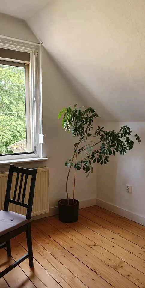 WG-Zimmer mit 24 m² in Heppenheim – Bild 4