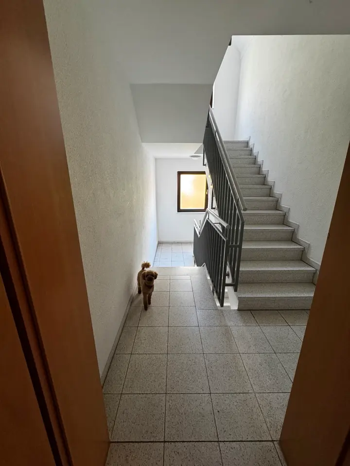 2 Zimmer Wohnung mit 80 m² in Mannheim – Bild 10