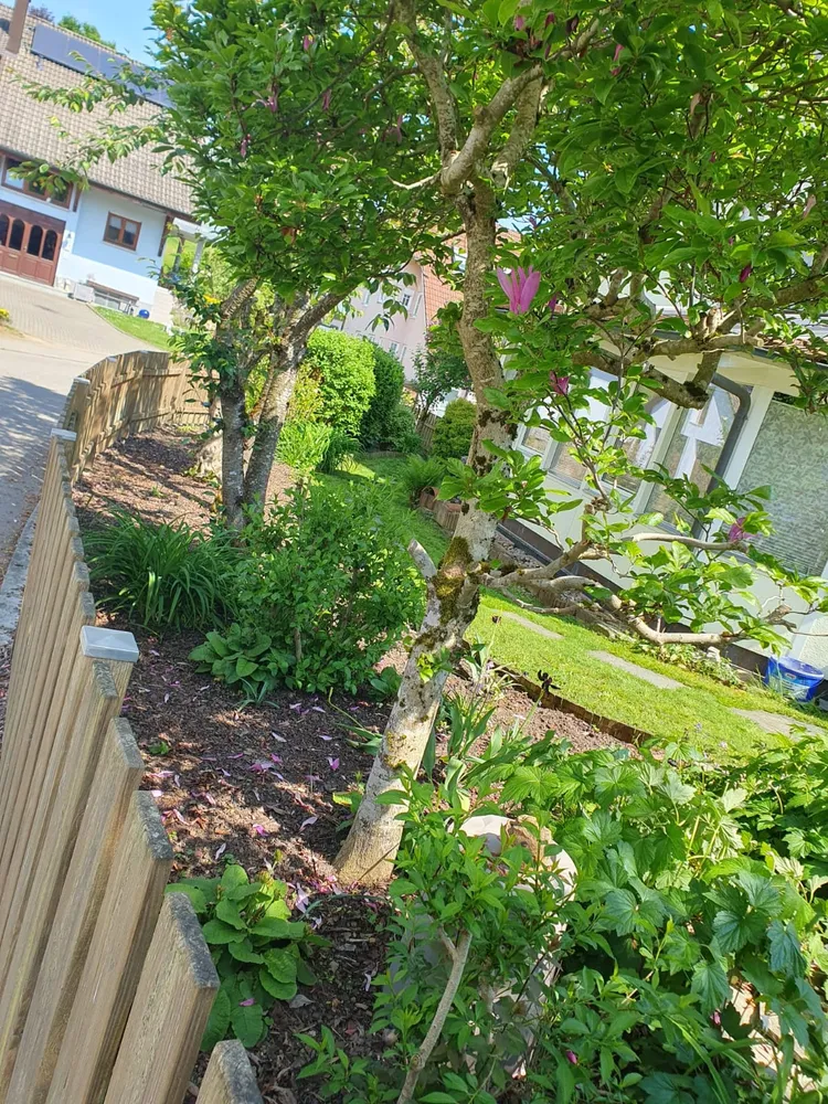 4 Zimmer Wohnung mit 124 m² in Rheinfelden – Bild 6