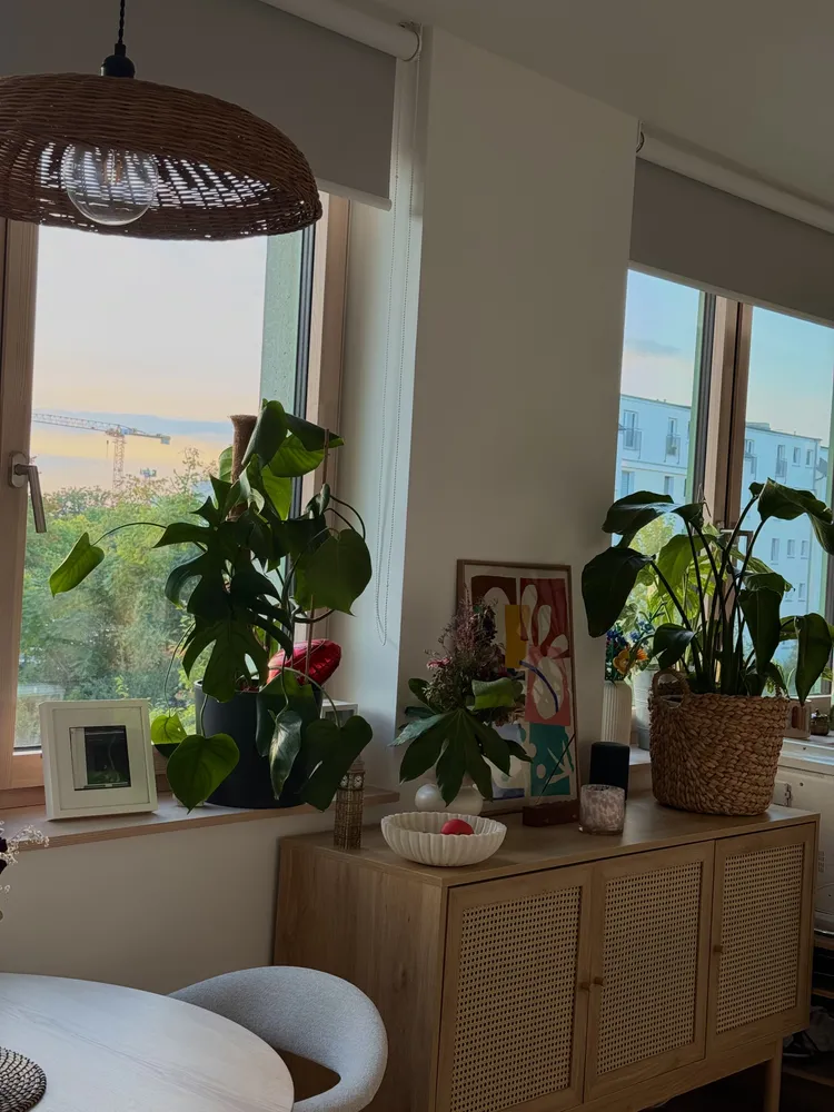 2 Zimmer Wohnung mit 45 m² in Berlin – Bild 5