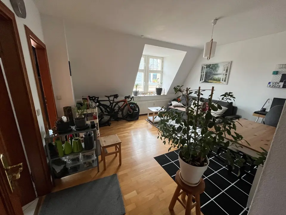 2 Zimmer Wohnung mit 49 m² in Dresden – Bild 2
