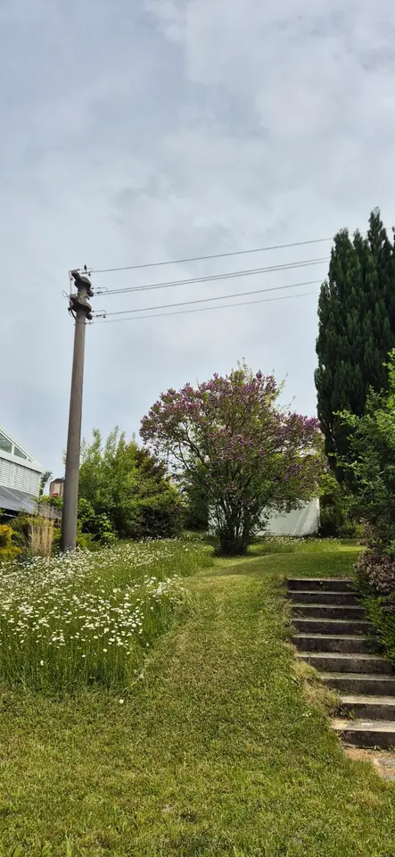 6 Zimmer Haus mit 130 m² in Biberach an der Riß – Bild 5