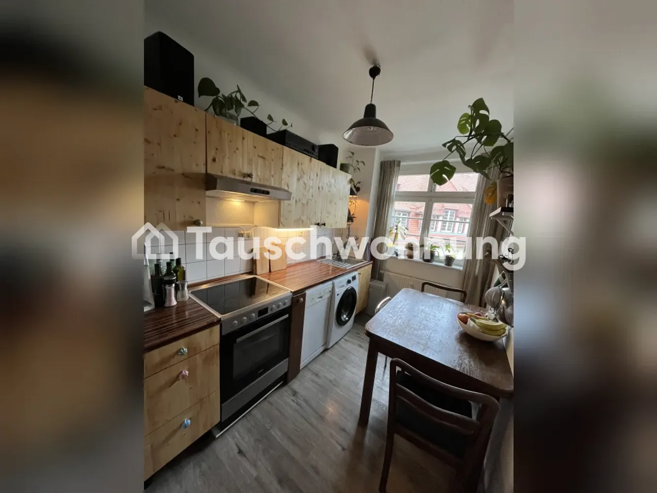 2 room apartment with 50 m² in Dresden – Photo 1