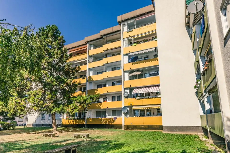 3 Zimmer Wohnung mit 50 m² in Worms – Bild 2