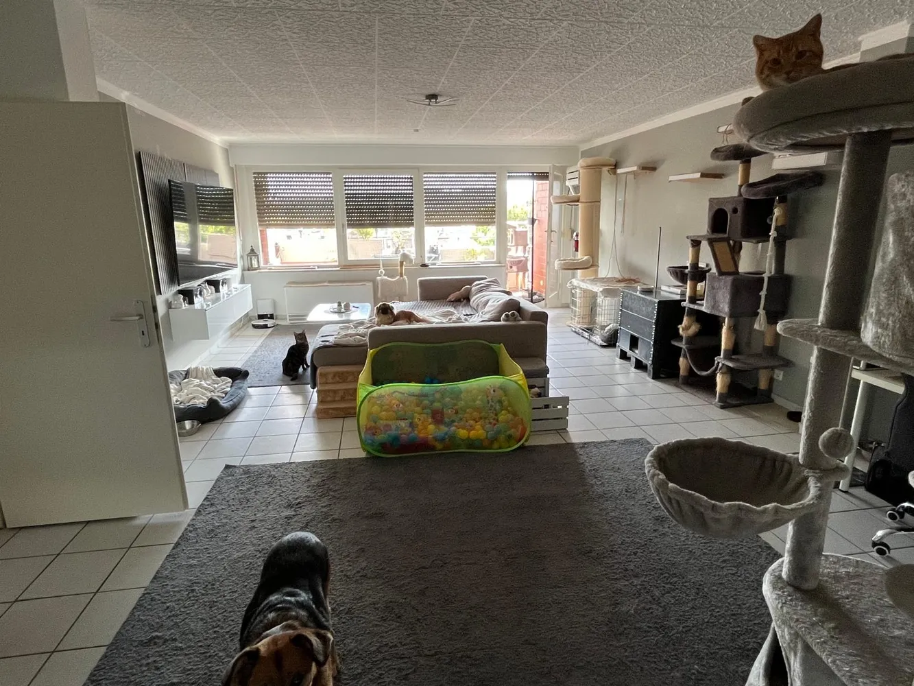 4 Zimmer Wohnung mit 100 m² in Osnabrück – Bild 1