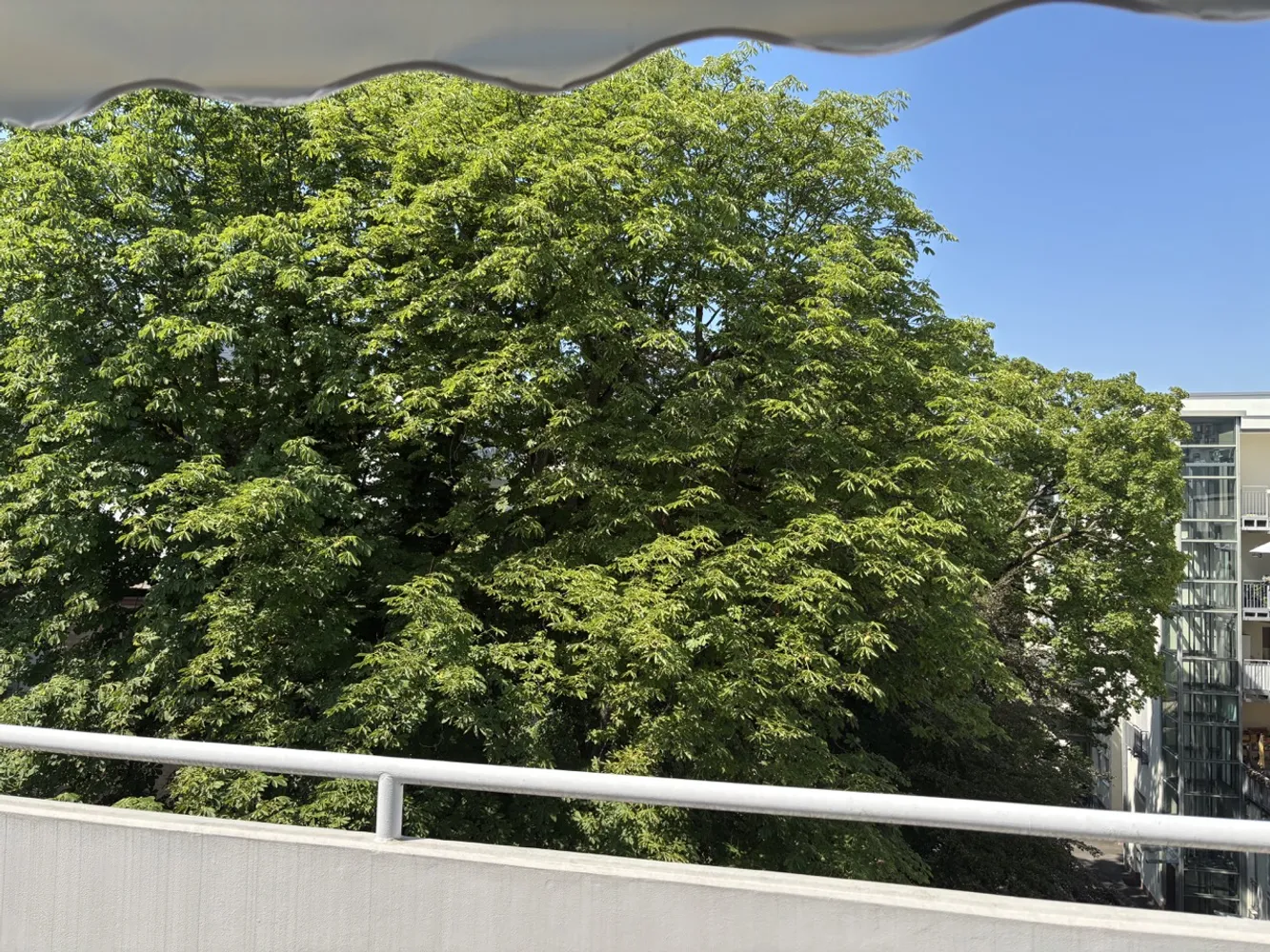 4 room apartment with 101 m² in Frankfurt am Main – Photo 1