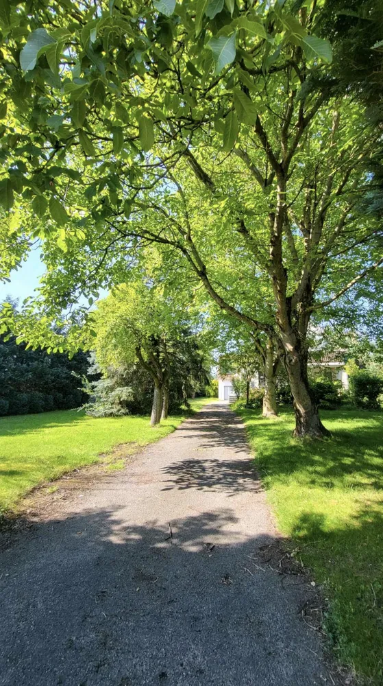 3 Zimmer Wohnung mit 86 m² in Osnabrück – Bild 1
