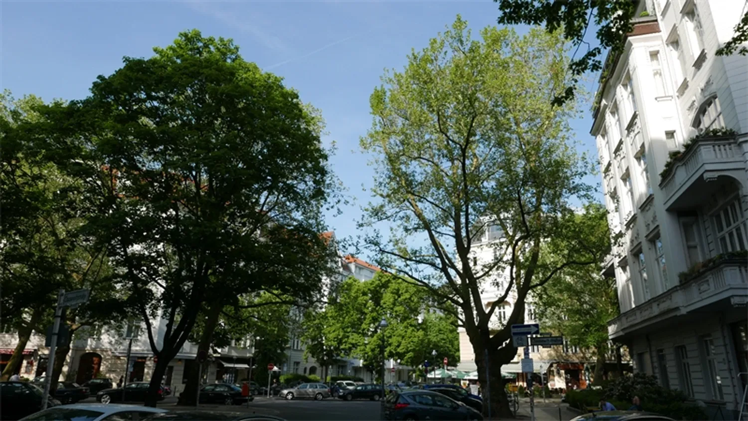6 Zimmer Wohnung mit 242 m² in Berlin – Bild 1