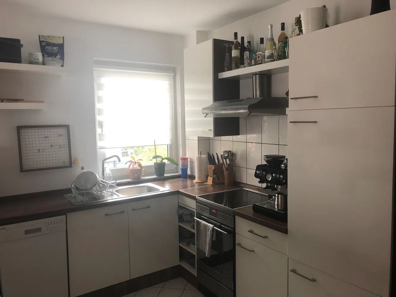 3 Zimmer Wohnung mit 64 m² in Delitzsch – Bild 3