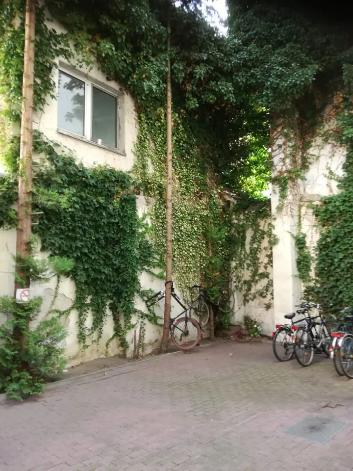 3 Zimmer Wohnung mit 68 m² in Halle (Saale) – Bild 9